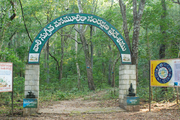 Maredumilli 1 Day tour package